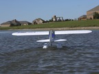 E-flite Carbon-Z Cub BNF Basic